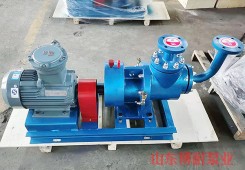 上海YHQ型液化石油气螺杆泵